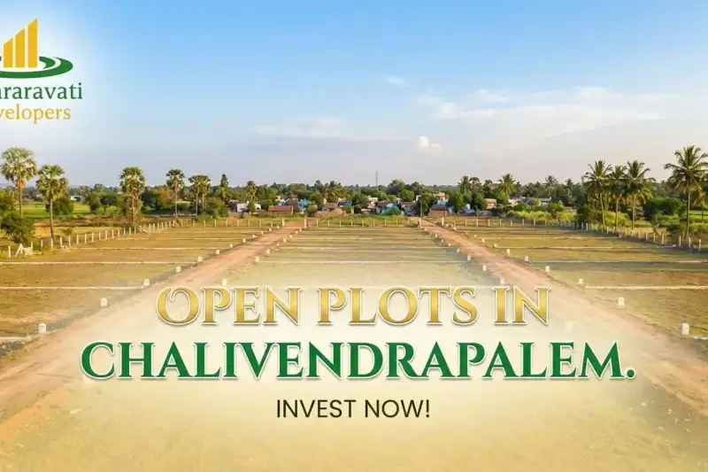 Chalivendrapalem Overview