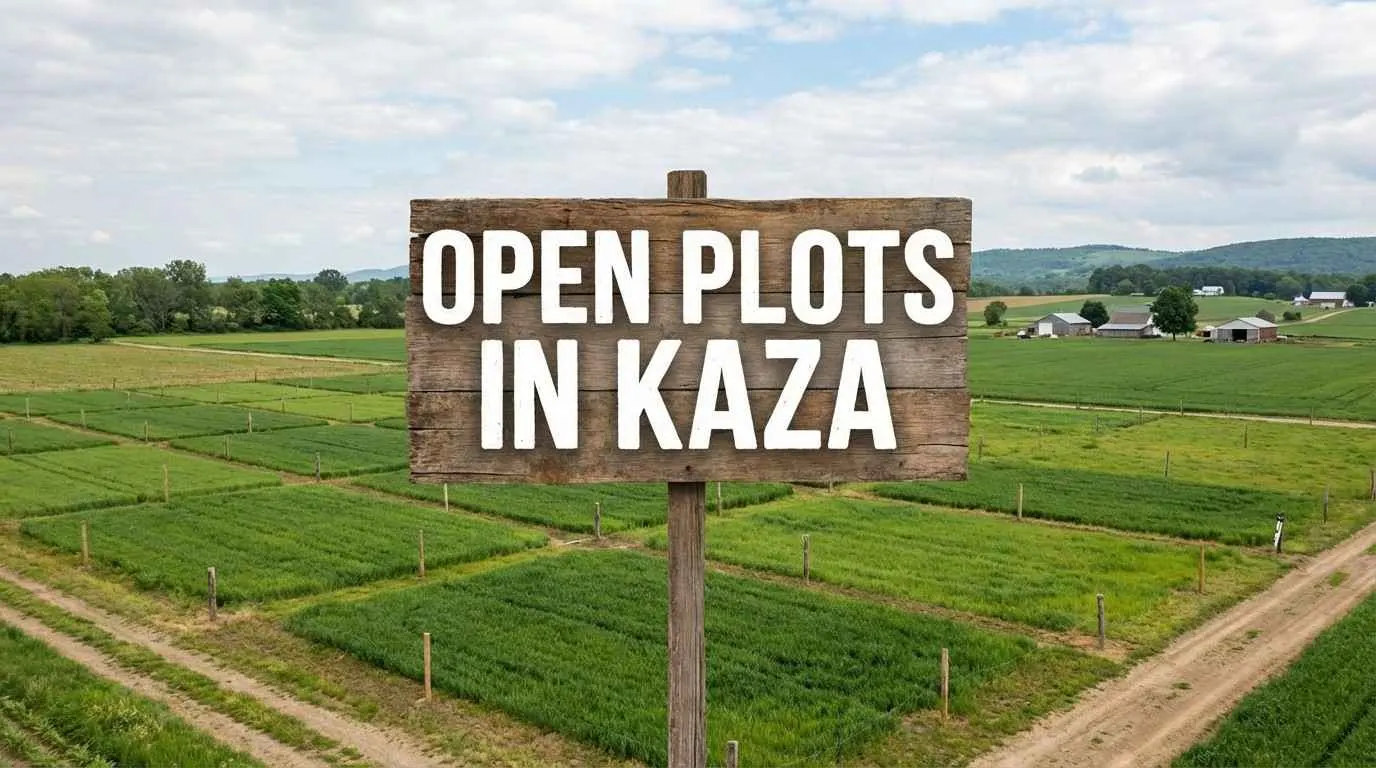 Ready to construct villa plots in Kaza with roads and utilities