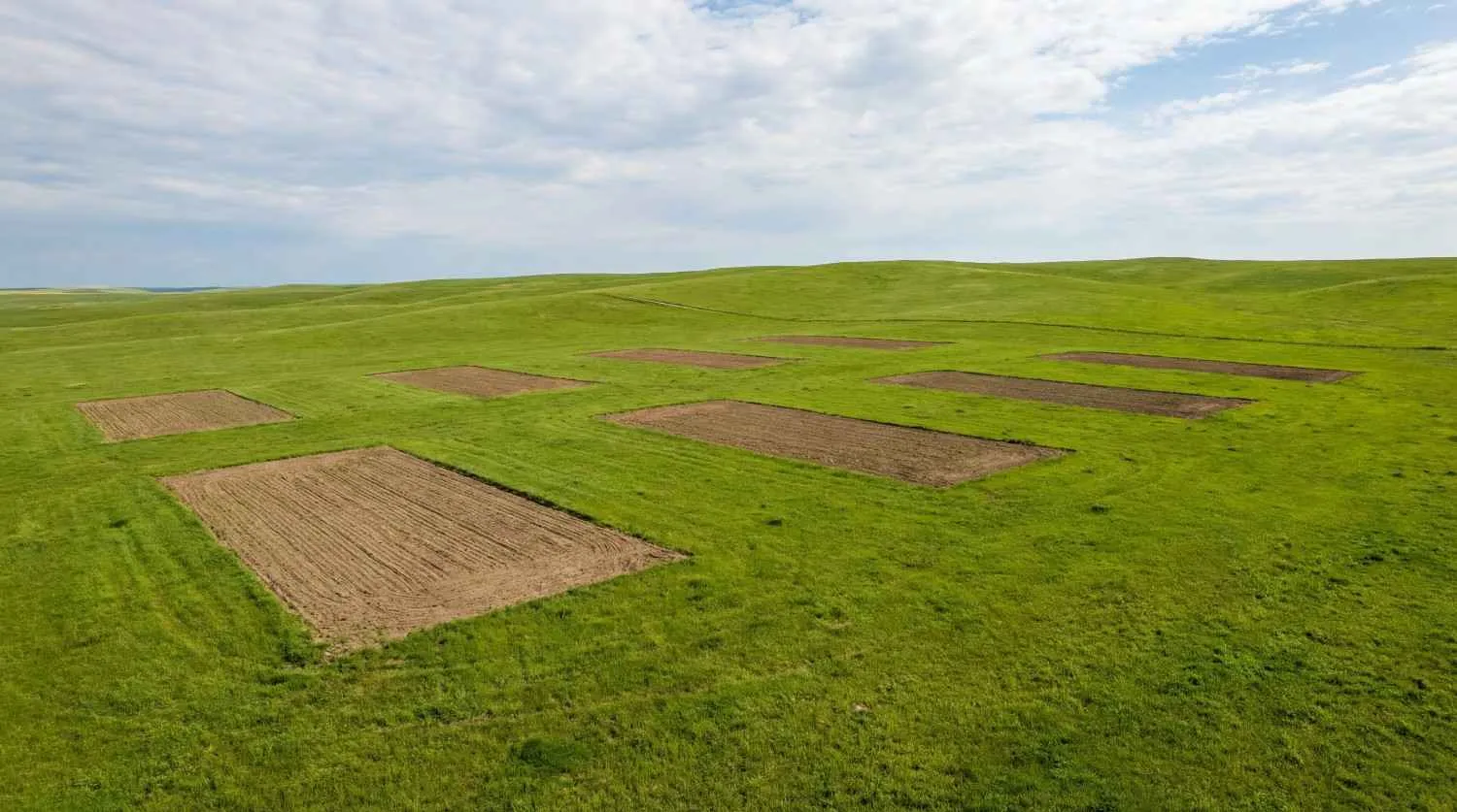 Ventures in Nellore – premium approved plot layouts near Krishnapatnam